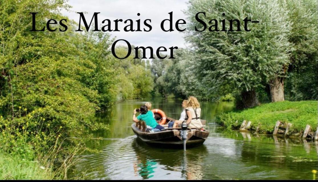 Le Clos Des Bambous Saint-Martin-Lez-Tatinghem ภายนอก รูปภาพ