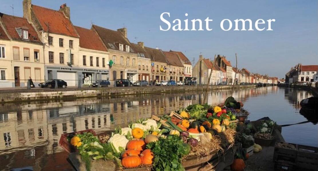 Le Clos Des Bambous Saint-Martin-Lez-Tatinghem ภายนอก รูปภาพ