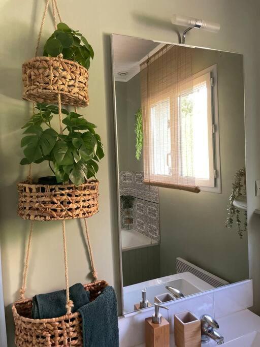 Le Clos Des Bambous Saint-Martin-Lez-Tatinghem ภายนอก รูปภาพ